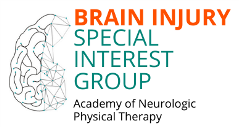Brain Injury SIG Vertical logo (1)